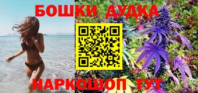 спиды Дубна