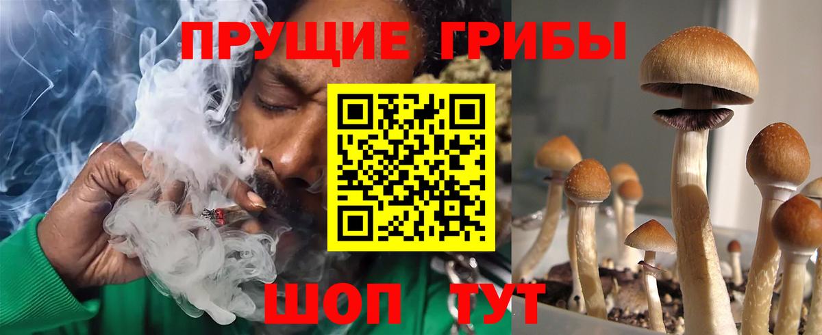 Моздок  дарнет шоп  Галлюциногенные грибы GOLDEN TEACHER  Вход с VPN  Галлюциногенные грибы MAGIC MUSHROOMS 